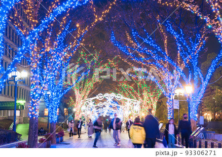 【大阪府】12月・大阪・光の饗宴2021 御堂筋イルミネーション2021 大阪市役所 【大阪府】12月・大阪・光の饗宴2021 御堂筋イルミネーション2021 大阪市役所 93306271