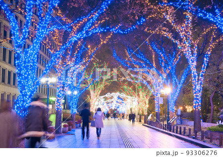 【大阪府】12月・大阪・光の饗宴2021 御堂筋イルミネーション2021 大阪市役所 【大阪府】12月・大阪・光の饗宴2021 御堂筋イルミネーション2021 大阪市役所 93306276