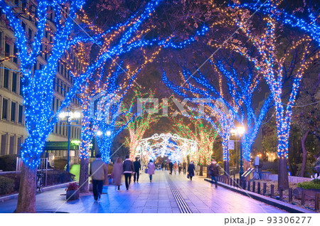 【大阪府】12月・大阪・光の饗宴2021　御堂筋イルミネーション2021　大阪市役所 93306277