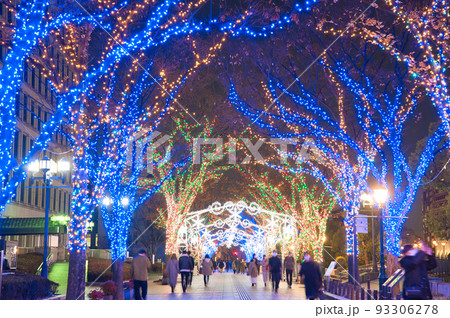 【大阪府】12月・大阪・光の饗宴2021 御堂筋イルミネーション2021 大阪市役所 【大阪府】12月・大阪・光の饗宴2021 御堂筋イルミネーション2021 大阪市役所 93306278