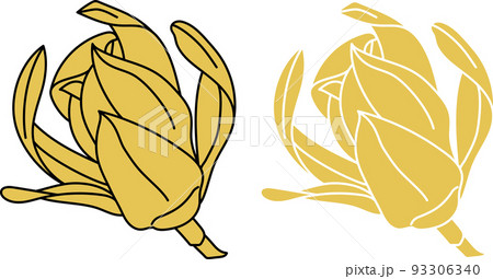 Abstract of Yellow Champaka blooming flower Abstract of Yellow Champaka blooming flower 93306340