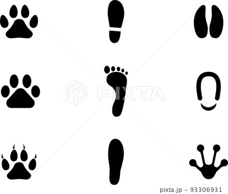 足跡　動物　人間　セット 93306931