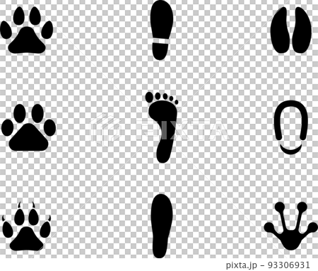 足跡　動物　人間　セット 93306931