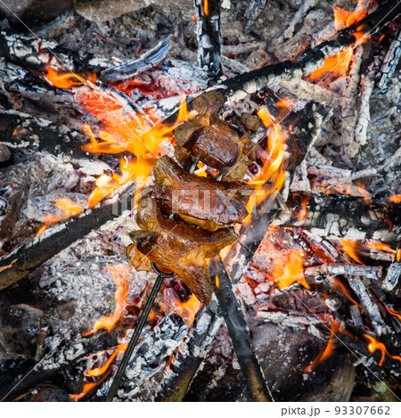Delicious grill sausage at the campfire. Camping in nature. Outdoor activity. 93307662