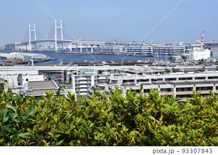 横浜市 港の見える丘公園からの展望 横浜ベイブリッジと街並み 横浜市 港の見える丘公園からの展望 横浜ベイブリッジと街並み 93307843