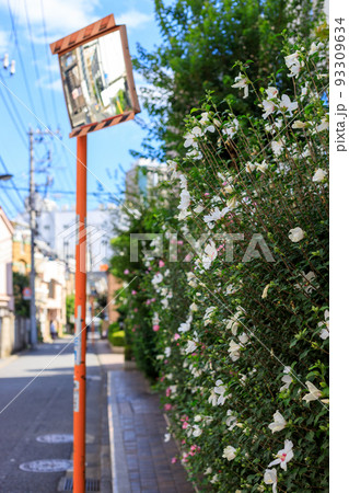 東京都新宿区の大久保地区の路地の風景 93309634