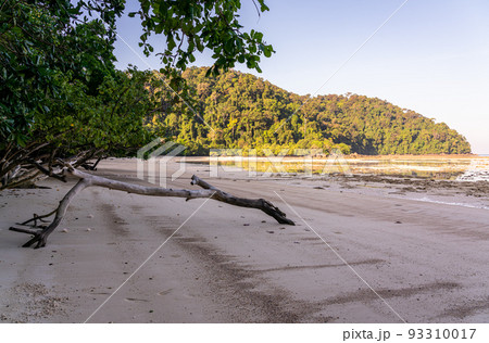 Sunrise at Mai Ngam beach, Surin island national park, Pang Nga, Thailand. 93310017