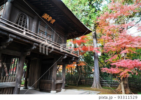 平林寺の紅葉 平林寺の紅葉 93311529
