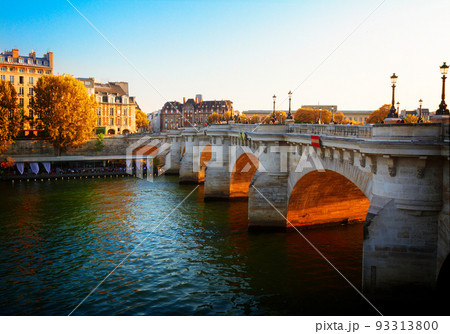Pont Neuf, Paris, France 93313800