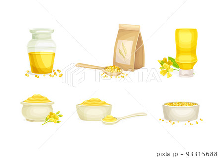 Mustard Yellow Paste in Bowl, Oil in Glass Jar and Grain or Seeds Vector Set 93315688
