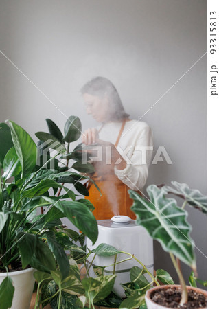 woman waters flowers and takes care of green plants at home. A European woman entrepreneur in a flower shop. 93315813
