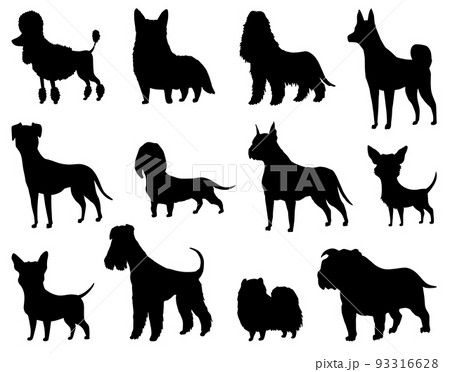 Dogs silhouette set of different breeds. Side view pet stand icon in black color. Make used for dog show, competition, pet store, guide dog. Domestic animal isolated on white background 93316628