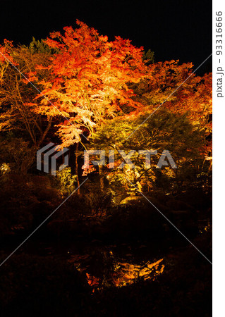 世界遺産「日光の社寺」構成資産 日光山輪王寺逍遥園 紅葉ライトアップ 世界遺産「日光の社寺」構成資産 日光山輪王寺逍遥園 紅葉ライトアップ 93316666