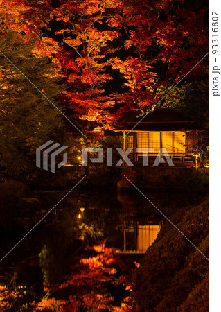 世界遺産「日光の社寺」構成資産　日光山輪王寺逍遥園　紅葉ライトアップ 93316802