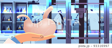 researcher hand holding stomach model printed on 3d bio printer medical printing of human transplantation organ researcher hand holding stomach model printed on 3d bio printer medical printing of human transplantation organ 93316997