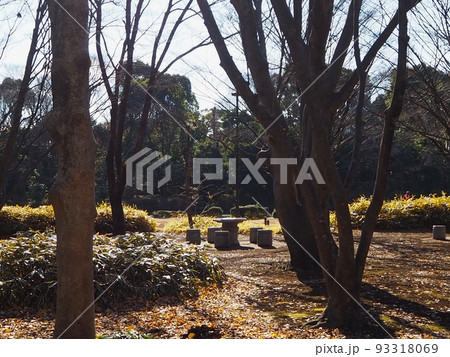 北の丸公園 93318069