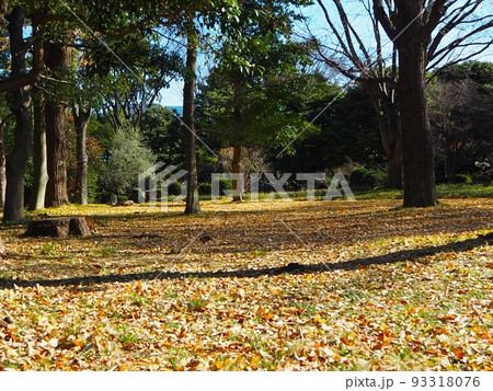 北の丸公園 北の丸公園 93318076