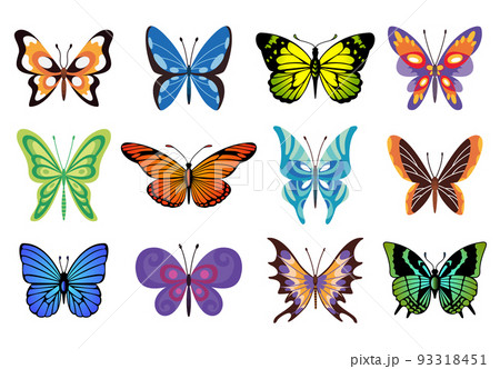 Collection of color butterfly. Hand drawn moth wings or insects. Tropical animals. Isolated vector icons set Collection of color butterfly. Hand drawn moth wings or insects. Tropical animals. Isolated vector icons set 93318451