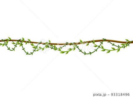 Liana stem border. Rainforest green vine or twisted plant hanging on branch. Cartoon jungle creeper. Tropical nature plant 93318496