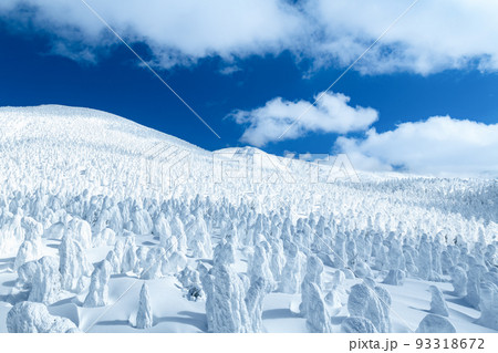 山形蔵王の白銀世界の樹氷 山形蔵王の白銀世界の樹氷 93318672