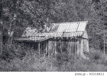 Ancient wooden house in the forest. 93318811