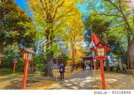 東京　世田谷区　秋の等々力渓谷　等々力不動尊の紅葉 93318848
