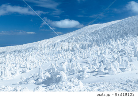 山形蔵王の白銀世界と樹氷 山形蔵王の白銀世界と樹氷 93319105