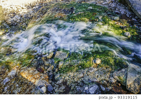 草津　西の河原公園 93319115