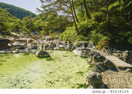 草津 西の河原公園 草津 西の河原公園 93319124