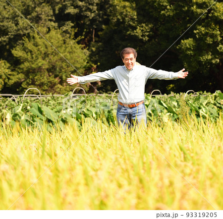 シニア男性　　田　稲穂　米　稲穂　豊作　喜び 93319205