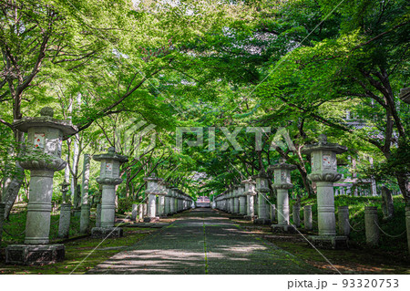 高山寺の風景 高山寺の風景 93320753