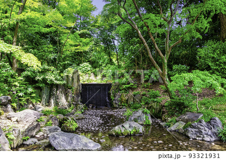 東京都　小石川後楽園　白糸の滝 93321931