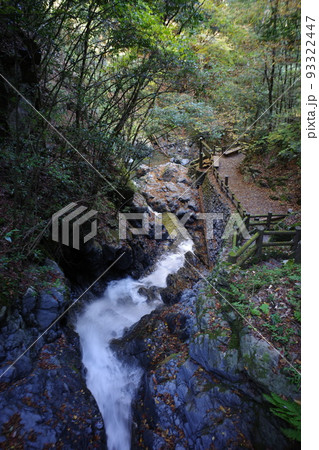 熊本県五家荘梅の木轟公園 93322447