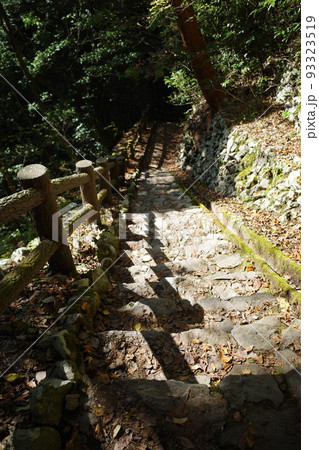 熊本県五家荘梅の木轟公園 93323519