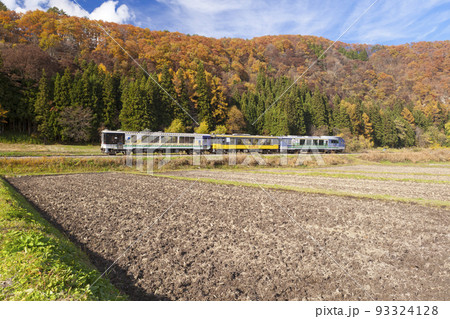 紅葉の中に会津鉄道のお座トロ展望列車 93324128