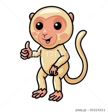 Cute little albino monkey cartoon giving thumb up	 93324351
