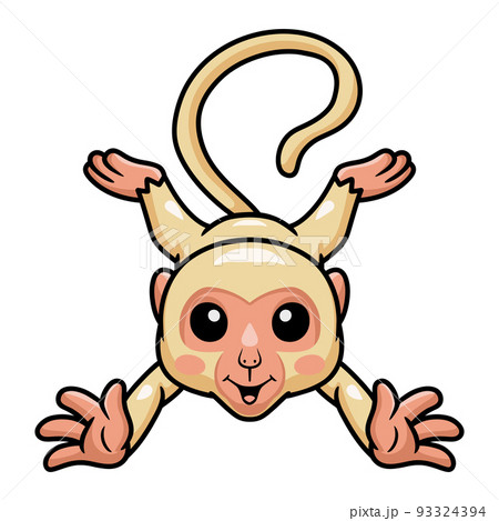 Cute little albino monkey cartoon	 93324394