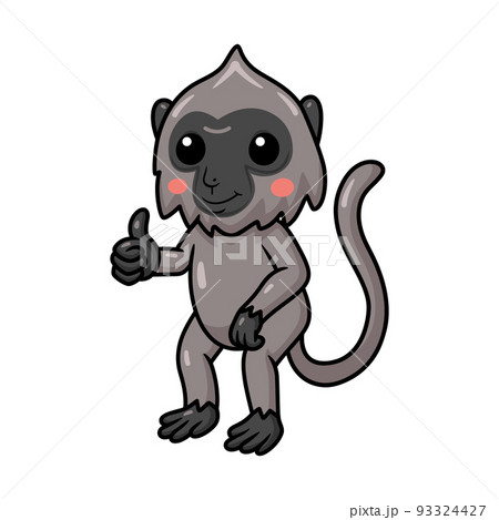 Cute little grey langur monkey cartoon giving thumb up	 93324427