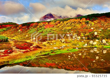 北海道 大雪山 旭岳の紅葉 北海道 大雪山 旭岳の紅葉 93325735