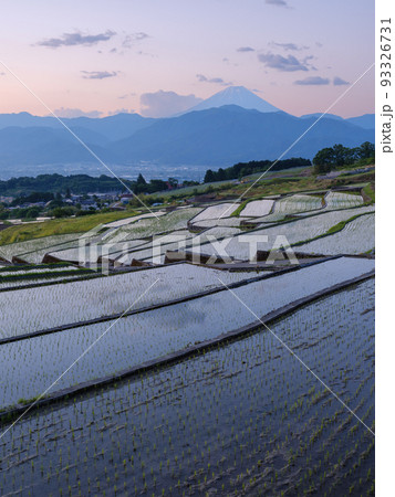 山梨_中野の棚田から見る夜明けの富士山絶景 山梨_中野の棚田から見る夜明けの富士山絶景 93326731