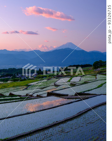 山梨_中野の棚田から見る夜明けの富士山絶景 93326735