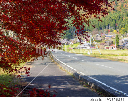 美山かやぶき由良里街道沿いの紅葉 93326831