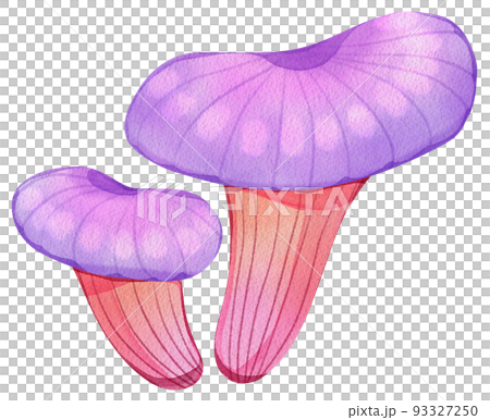 Fairy tale forest wonderland watercolor icon png Fairy tale forest wonderland watercolor icon png 93327250