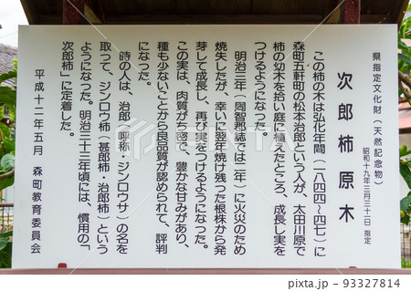静岡県周智郡森町　治郎柿原木 93327814