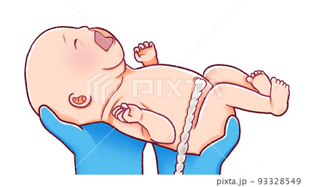 出産の瞬間のイラスト へその緒がついた赤ちゃん 出産の瞬間のイラスト へその緒がついた赤ちゃん 93328549