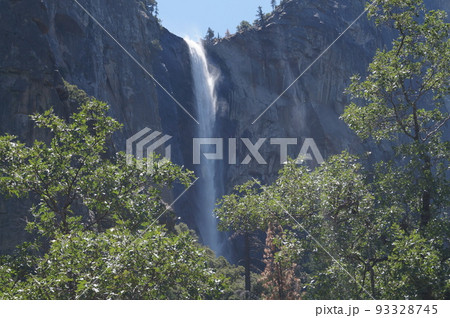 米国 ヨセミテ国立公園のブライダルベール滝 93328745