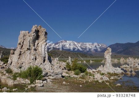 アメリカ合衆国 モノ瑚のトゥファタワー アメリカ合衆国 モノ瑚のトゥファタワー 93328748