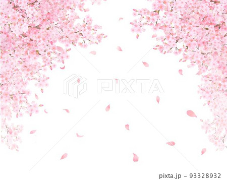 美しく華やかな満開の薄いピンク色の桜の花と花びら舞い散る春の白バックフレームベクター素材イラスト 93328932