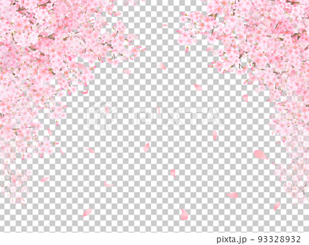 美しく華やかな満開の薄いピンク色の桜の花と花びら舞い散る春の白バックフレームベクター素材イラスト 93328932
