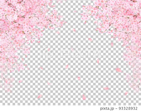 美しく華やかな満開の薄いピンク色の桜の花と花びら舞い散る春の白バックフレームベクター素材イラスト 93328932